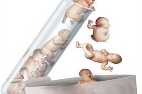 http://shenyang.dacou.net/post/194.html|沈阳新闻中心